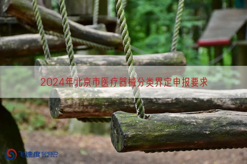 2024年北京市医疗器械分类界定申报要求