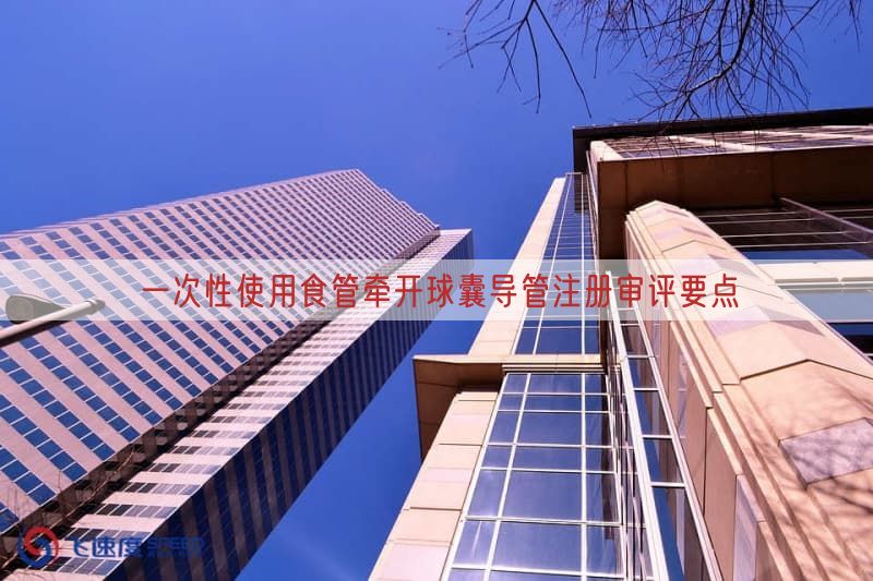 一次性使用食管牵开球囊导管注册审评要点(图1)