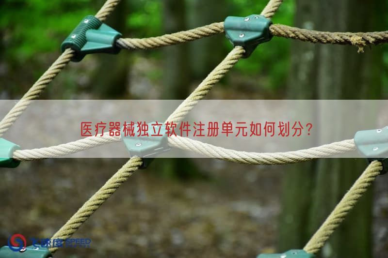 医疗器械独立软件注册单元如何划分？