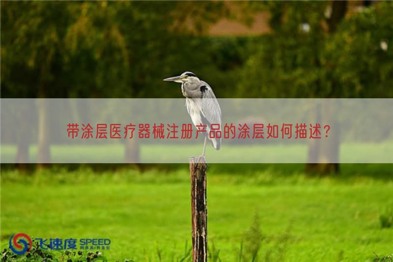 带涂层医疗器械注册产品的涂层如何描述？