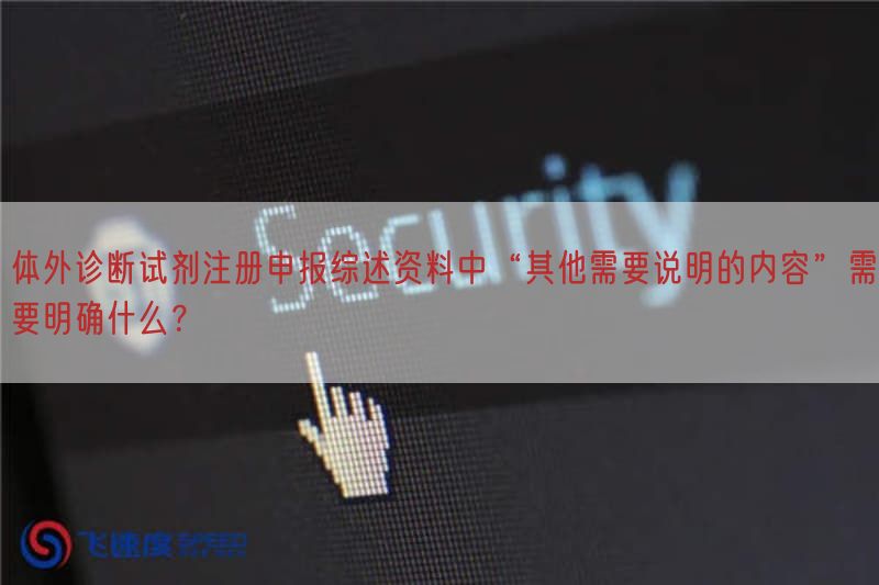 体外诊断试剂注册申报综述资料中“其他需要说明的内容”需要弄清楚什么？(图1)