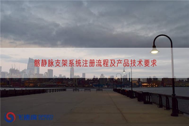 髂静脉支架系统注册流程及产品技术要求