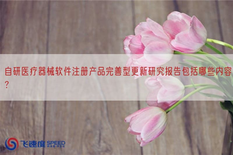 自研医疗器械软件注册产品改进型更新研究报告包括哪些内容？(图1)