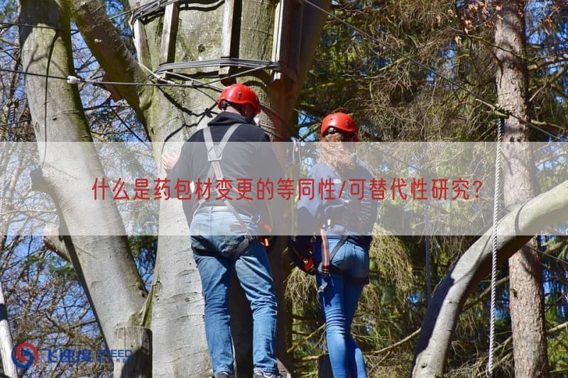 什么是药包材变更的等同性/可替代性研究？