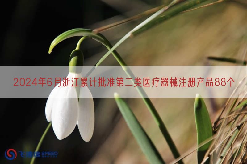 2024年6月浙江累计批准第二类医疗器械注册产品88个