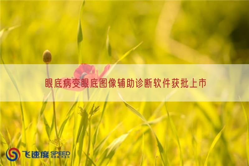 眼底病变眼底图像辅助诊断软件获批上市