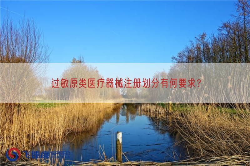 过敏原类医疗器械注册划分有何要求？