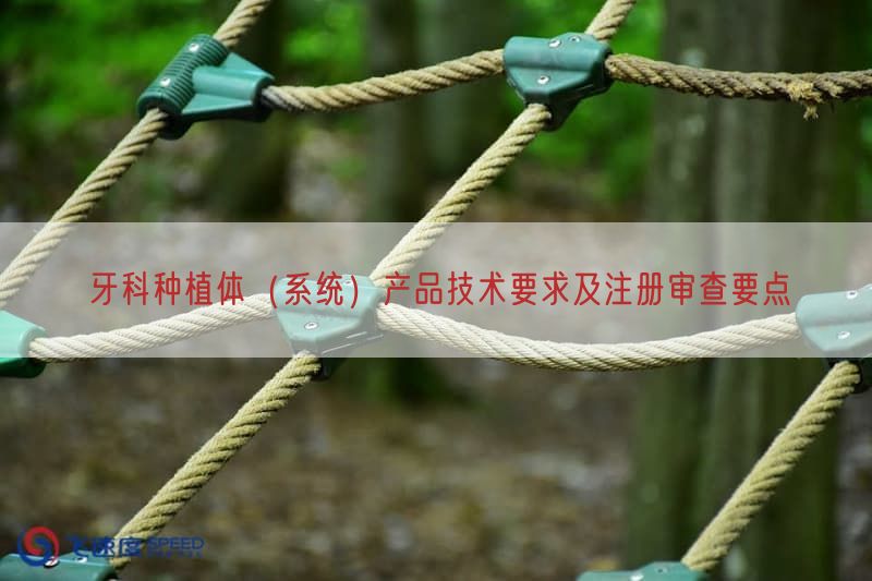 牙科种植体（系统）产品技术要求及注册审查要点
