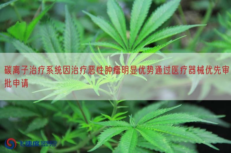 碳离子治疗系统因治疗恶性肿瘤显著优势通过医疗器械优先审批申请