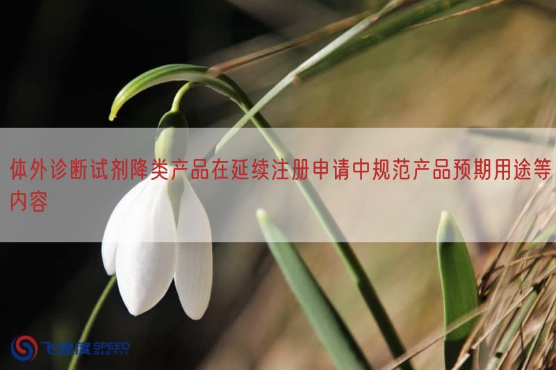 体外诊断试剂降类产品在延续注册申请中规范产品预期用途等内容