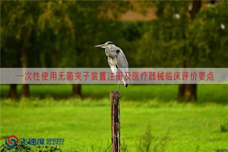 一次性使用无菌夹子装置注册及医疗器械临床评价要点