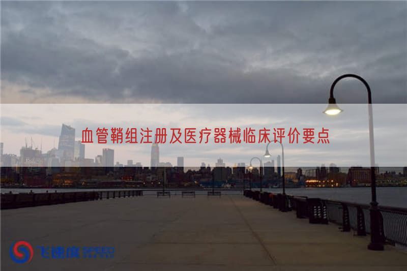 血管鞘组注册及医疗器械临床评价要点