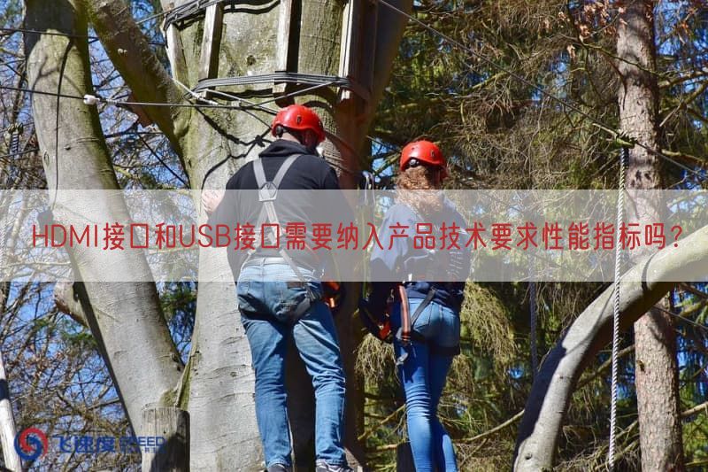 HDMI接口与USB接口需要纳入产品技术要求性能指标吗？(图1)