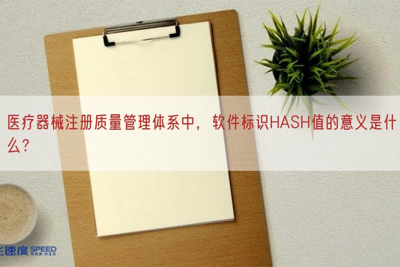 医疗器械注册质量管理体系中，软件标识HASH值的意义是什么？