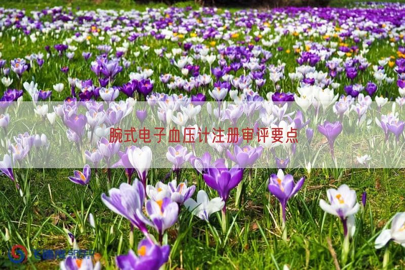 腕式电子血压计注册审评要点