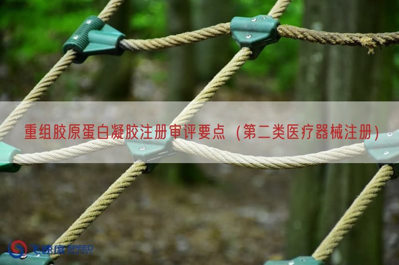 重组胶原蛋白凝胶注册审评要点（第二类医疗器械注册）