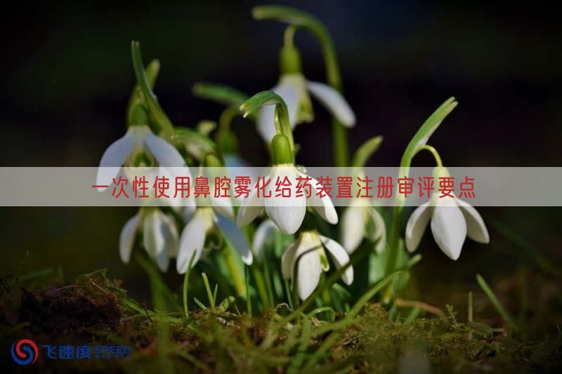一次性使用鼻腔雾化给药装置注册审评要点