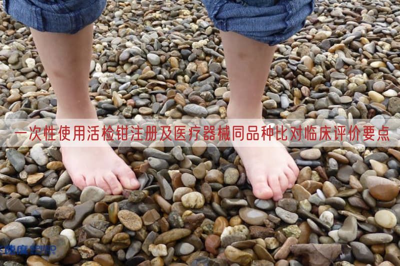 一次性使用活检钳注册及医疗器械同品种比对临床评价要点