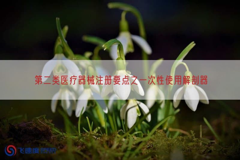第二类医疗器械注册要点之一次性使用解剖器