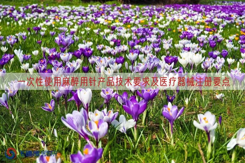 一次性使用麻醉用针产品技术要求及医疗器械注册要点
