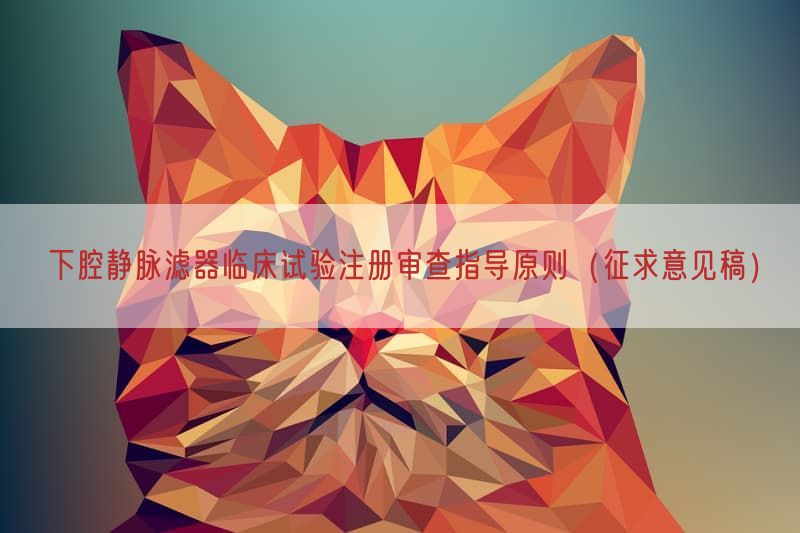 下腔静脉滤器临床试验注册审查指导原则（征求意见稿）