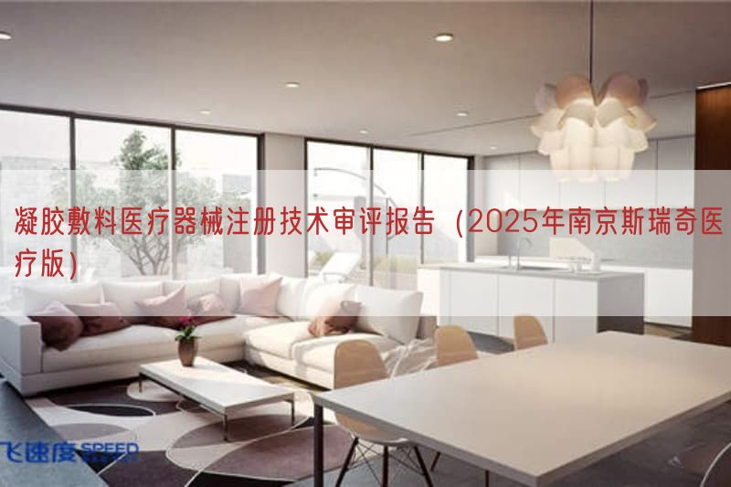 凝胶敷料医疗器械注册技术审评报告（2025年南京斯瑞奇医疗版）(图1)