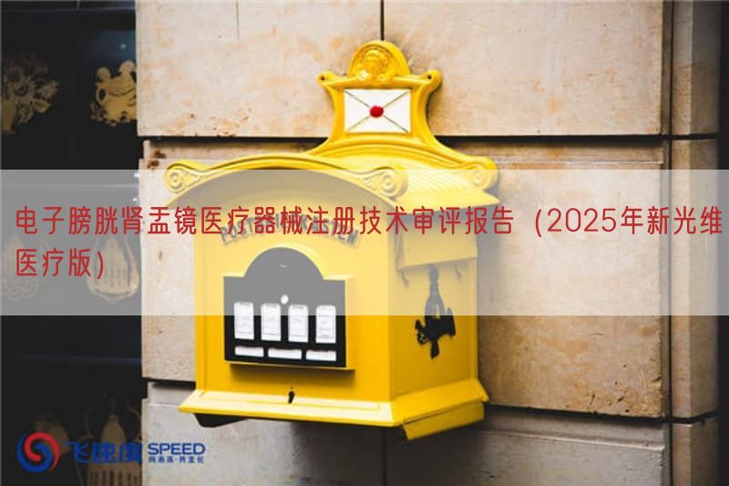 电子膀胱肾盂镜医疗器械注册技术审评报告（2025年新光维医疗版）(图1)