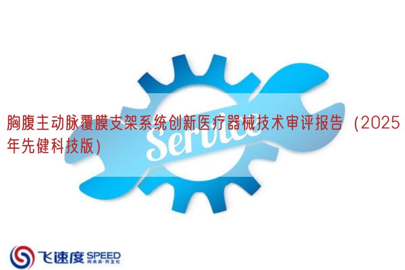 胸腹主动脉覆膜支架系统创新医疗器械技术审评报告（2025年先健科技版）(图1)