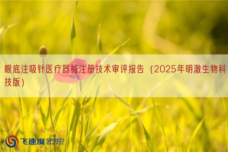 眼底注吸针医疗器械注册技术审评报告（2025年明澈生物科技版）(图1)