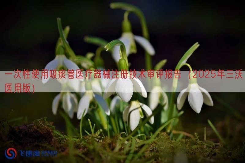 一次性使用吸痰管医疗器械注册技术审评报告（2025年三沃医用版）(图1)