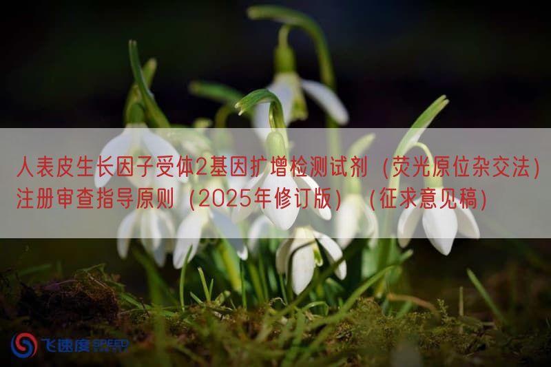 人表皮生长因子受体2基因扩增检测试剂(荧光原位杂交法)注册审查指导原则(2025年修订版)(征求意见稿)(图1) 人表皮生长因子受体2基因扩增检测试剂(荧光原位杂交法)注册审查指导原则(2025年修订版)(征求意见稿)(图1)