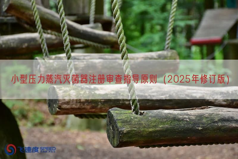 小型压力蒸汽灭菌器注册审查指导原则（2025年修订版）(图1)