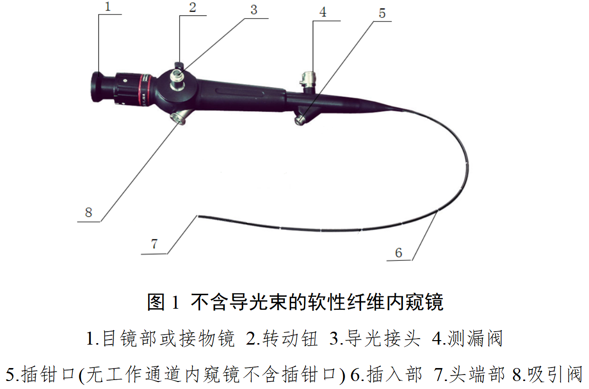 软性纤维内窥镜注册审查指导原则（2025年修订版）