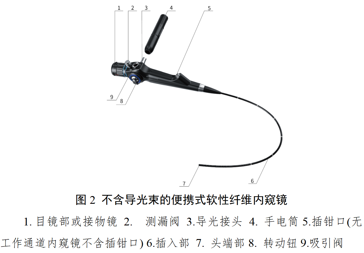 软性纤维内窥镜注册审查指导原则（2025年修订版）(图2)