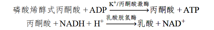 电解质钾、钠、氯、钙测定试剂注册审查指导原则(2025年修订版)(图1) 电解质钾、钠、氯、钙测定试剂注册审查指导原则(2025年修订版)(图1)