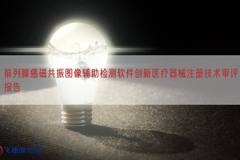 前列腺癌磁共振图像辅助检测软件创新医疗器械注册技术审评报告(图1) 前列腺癌磁共振图像辅助检测软件创新医疗器械注册技术审评报告(图1)