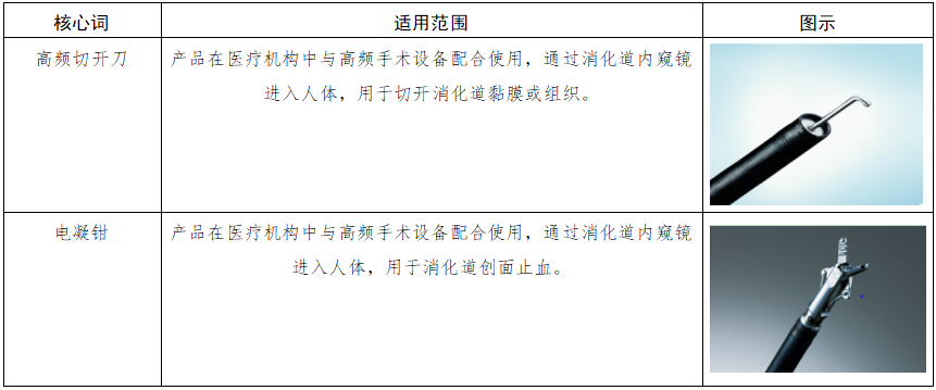 软性内窥镜用高频手术器械注册审查指导原则(图1) image.png