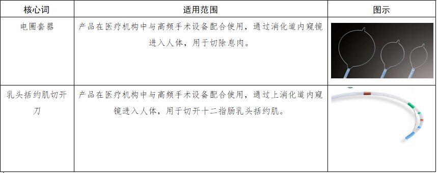 软性内窥镜用高频手术器械注册审查指导原则(图2) image.png