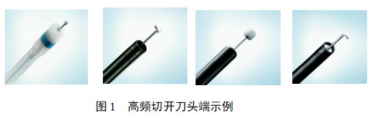 软性内窥镜用高频手术器械注册审查指导原则(图3) image.png