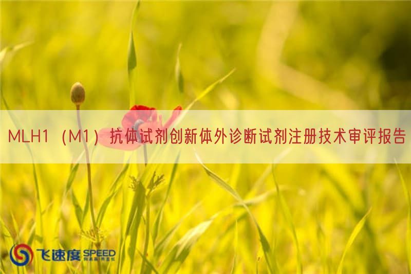 MLH1(M1)抗体试剂创新体外诊断试剂注册技术审评报告(图1) MLH1(M1)抗体试剂创新体外诊断试剂注册技术审评报告(图1)