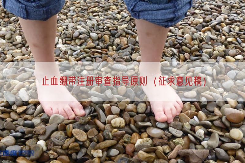 止血绷带注册审查指导原则（征求意见稿）(图1)