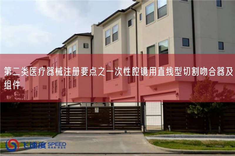 第二类医疗器械注册要点之一次性腔镜用直线型切割吻合器及组件(图1) 第二类医疗器械注册要点之一次性腔镜用直线型切割吻合器及组件(图1)