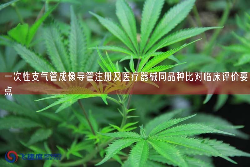 一次性支气管成像导管注册及医疗器械同品种比对临床评价要点(图1)