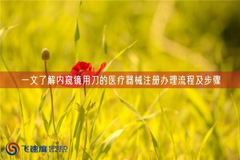 一文了解内窥镜用刀的医疗器械注册办理流程及步骤(图1)