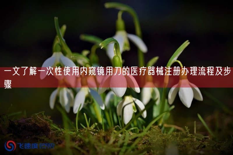 一文了解一次性使用内窥镜用刀的医疗器械注册办理流程及步骤(图1)