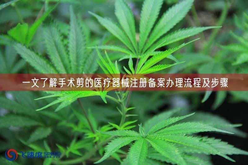 一文了解手术剪的医疗器械注册备案办理流程及步骤(图1)