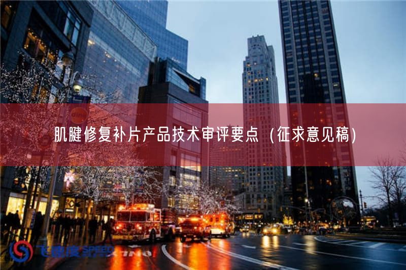 肌腱修复补片产品技术审评要点(征求意见稿)(图1) 肌腱修复补片产品技术审评要点(征求意见稿)(图1)