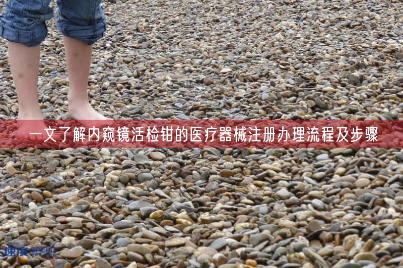 一文了解内窥镜活检钳的医疗器械注册办理流程及步骤