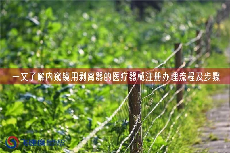 一文了解内窥镜用剥离器的医疗器械注册办理流程及步骤(图1)