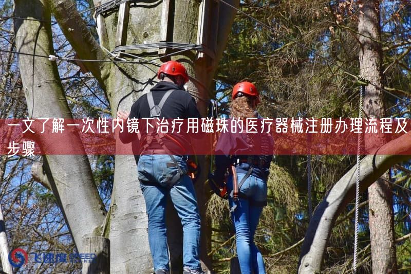 一文了解一次性内镜下治疗用磁珠的医疗器械注册办理流程及步骤(图1)